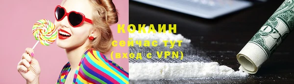 соль ск Алексеевка