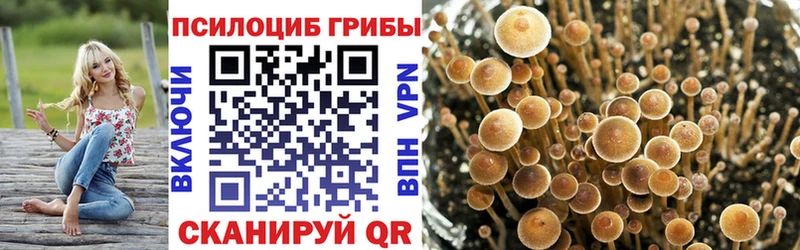 цены   Ладушкин  Галлюциногенные грибы MAGIC MUSHROOMS 